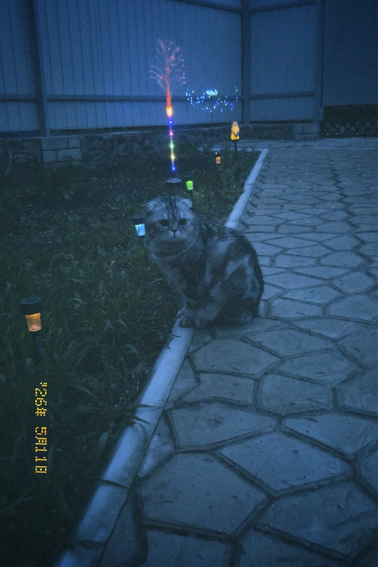 Аватар пользователя